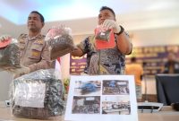 Kapolresta Jayapura Kota, AKBP Fredrickus W.A. Maclarimboen, bersama Kasat Resnarkoba AKP Febry V. Pardede menunjukkan barang bukti ganja. (Foto: Syaiful)