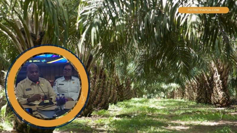 Gubernur Matius Derek Fakhiri buka-bukaan soal sawit di Papua. (Foto: Kolase PotretPapua) 