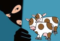 Ilustrasi pencurian sapi. (Ist)