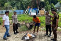 Aparat memusnahkan ganja di halaman belakang Ampera, Kota Jayapura, Rabu 1 Januari 2026. (Foto: Humas Polresta Jayapura Kota)