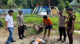 Aparat memusnahkan ganja di halaman belakang Ampera, Kota Jayapura, Rabu 1 Januari 2026. (Foto: Humas Polresta Jayapura Kota)