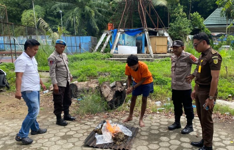Aparat memusnahkan ganja di halaman belakang Ampera, Kota Jayapura, Rabu 1 Januari 2026. (Foto: Humas Polresta Jayapura Kota)