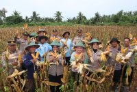Wakapolres Merauke, Kompol Nuryanty menunjukkan jagung hasil panen raya brersama petani. (Foto: Ist)