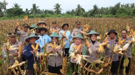 Wakapolres Merauke, Kompol Nuryanty menunjukkan jagung hasil panen raya brersama petani. (Foto: Ist)