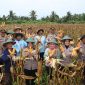 Wakapolres Merauke, Kompol Nuryanty menunjukkan jagung hasil panen raya brersama petani. (Foto: Ist)