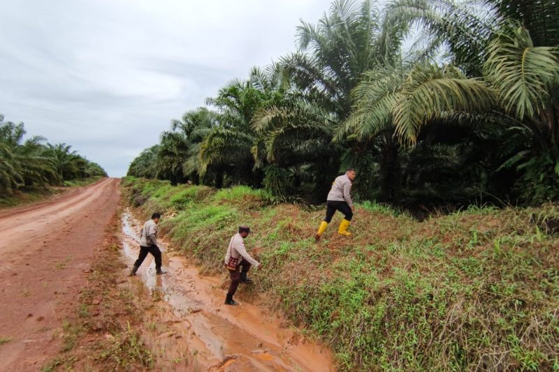 Personel Polsek Elikobel melakukan pencarian bocah 12 tahun di sekitar perkebunan sawit. (Foto: Ist)
