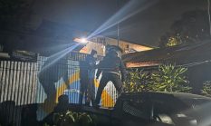 CR (49) Ditangkap, Produksi Cap Tikus Ilegal Terungkap di Wamena