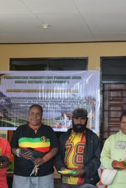 Pemkab Puncak Jaya Salurkan Bibit Pangan dan Ternak Ayam
