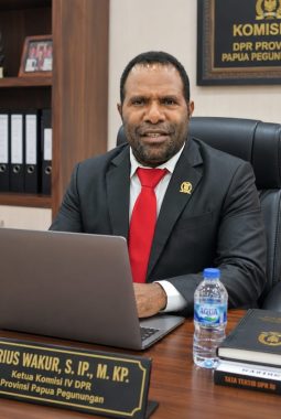 Terius Wakur Soroti Kehadiran Pasukan Non-Organik di Kawasan Kebun Warga Tolikara, DPR Minta Penjelasan Mandat dan Dasar Hukumnya