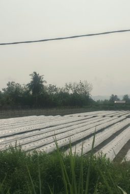 Rustan Saru Tegaskan Dinas PUPR-PKP Turun Lapangan, Cek Perizinan dan Tata Ruang Perumahan di Kawasan Timur Kota