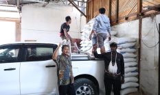 Pemprov Papua Pegunungan Distribusikan 25.000 Bibit Ikan dan 3,8 Ton Pakan, Dorong Ketahanan Pangan serta Tingkatkan Kesejahteraan Petani